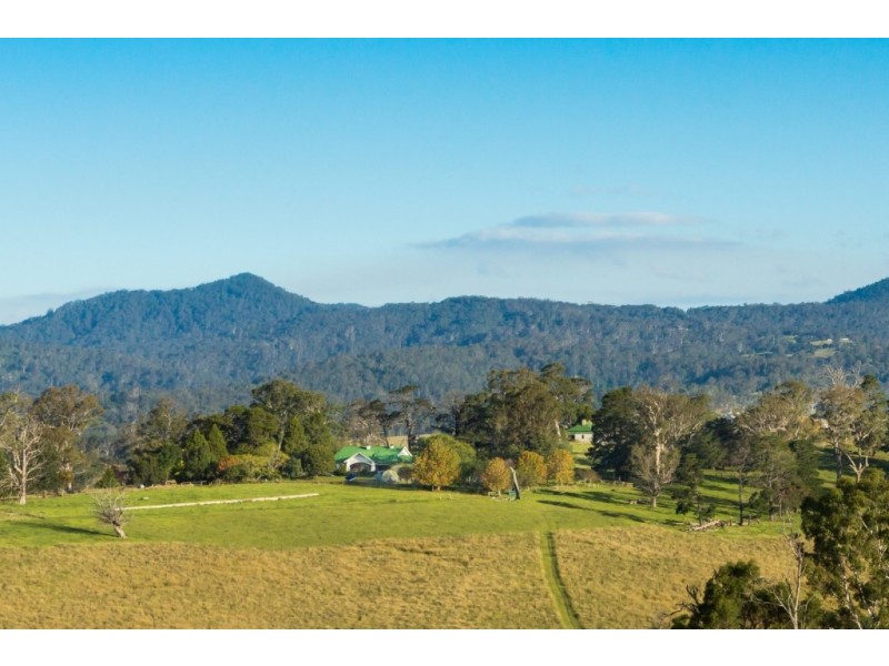 1687 Myrtle Mtn Rd, Candelo NSW 2550