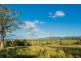 1687 Myrtle Mtn Rd, Candelo NSW 2550
