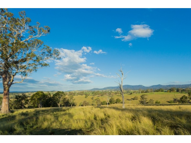 1687 Myrtle Mtn Rd, Candelo NSW 2550