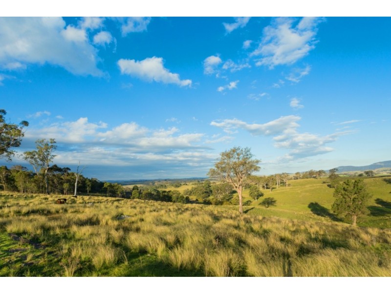 1687 Myrtle Mtn Rd, Candelo NSW 2550