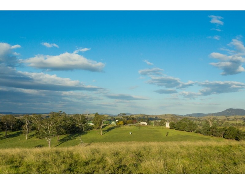 1687 Myrtle Mtn Rd, Candelo NSW 2550