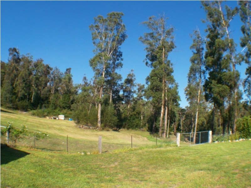 183 Reedy Swamp Rd, Tarraganda NSW 2550