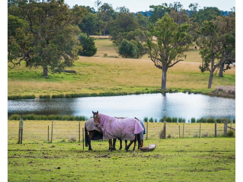 416 Wyndham Lane, Kanoona NSW 2550