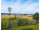 416 Wyndham Lane, Kanoona NSW 2550