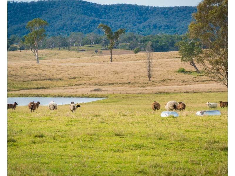 416 Wyndham Lane, Kanoona NSW 2550