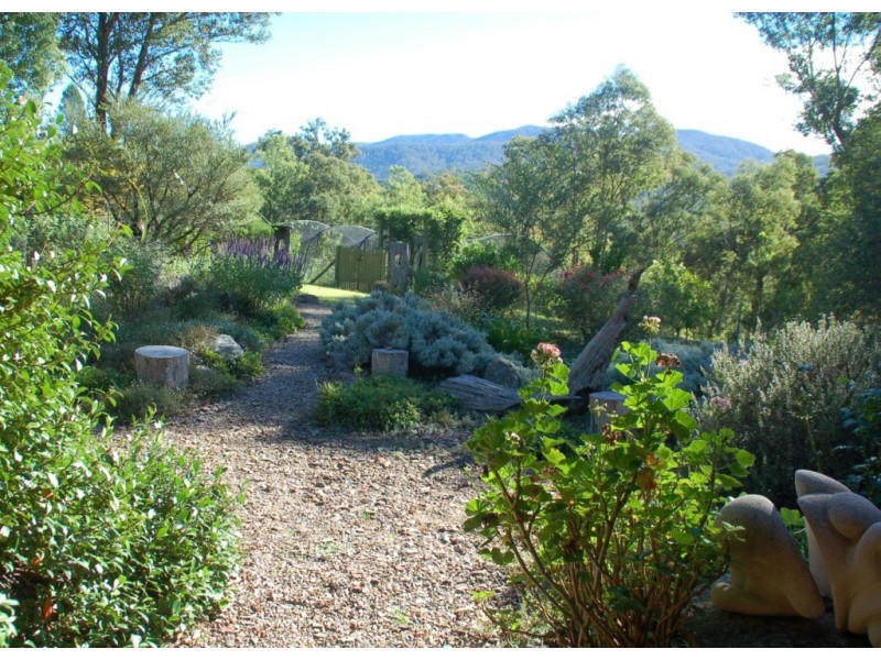 1353 Upper Brogo Rd, Bega NSW 2550