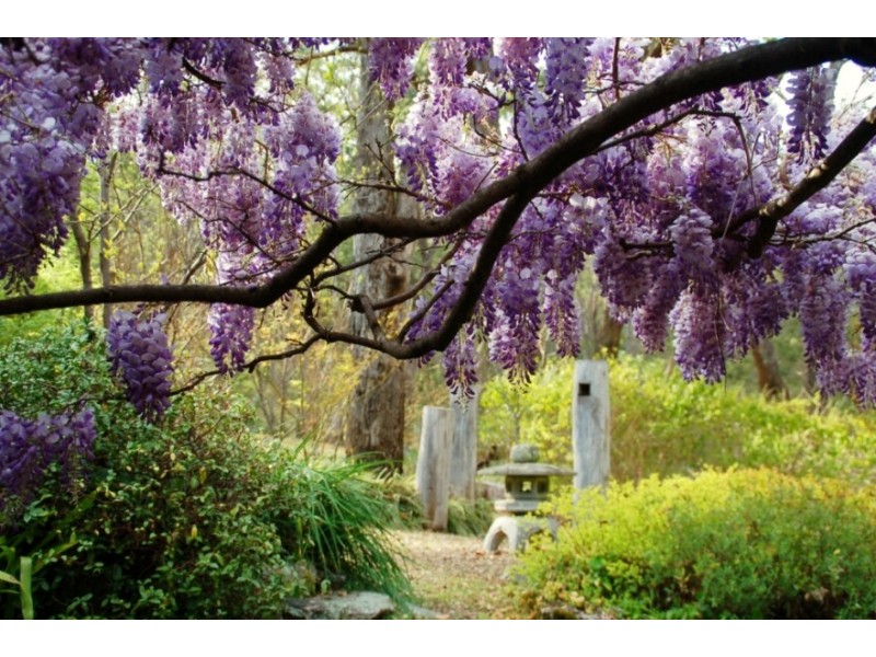 1353 Upper Brogo Rd, Bega NSW 2550