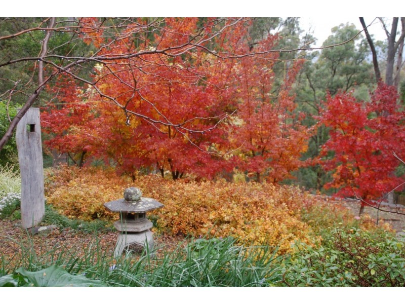 1353 Upper Brogo Rd, Bega NSW 2550