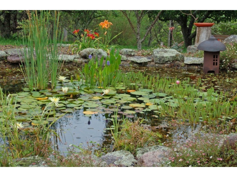 1353 Upper Brogo Rd, Bega NSW 2550