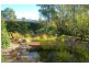 1353 Upper Brogo Rd, Bega NSW 2550