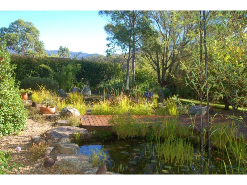 1353 Upper Brogo Rd, Bega NSW 2550