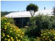15 Candelo St, Candelo NSW 2550