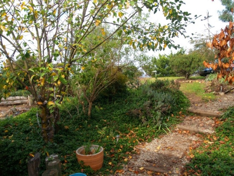 15 Candelo St, Candelo NSW 2550