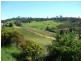 15 Candelo St, Candelo NSW 2550