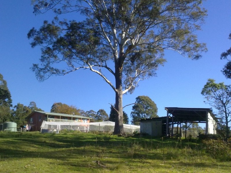 610 Warrigal Range Rd, Bega NSW 2550