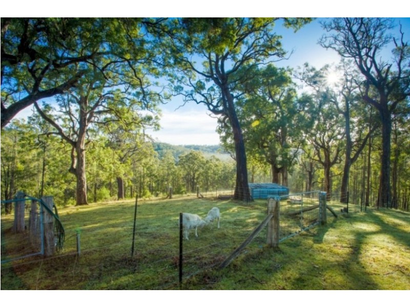 732 Hawks Head Rd, Brogo NSW 2550