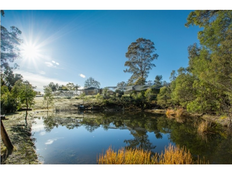 732 Hawks Head Rd, Brogo NSW 2550