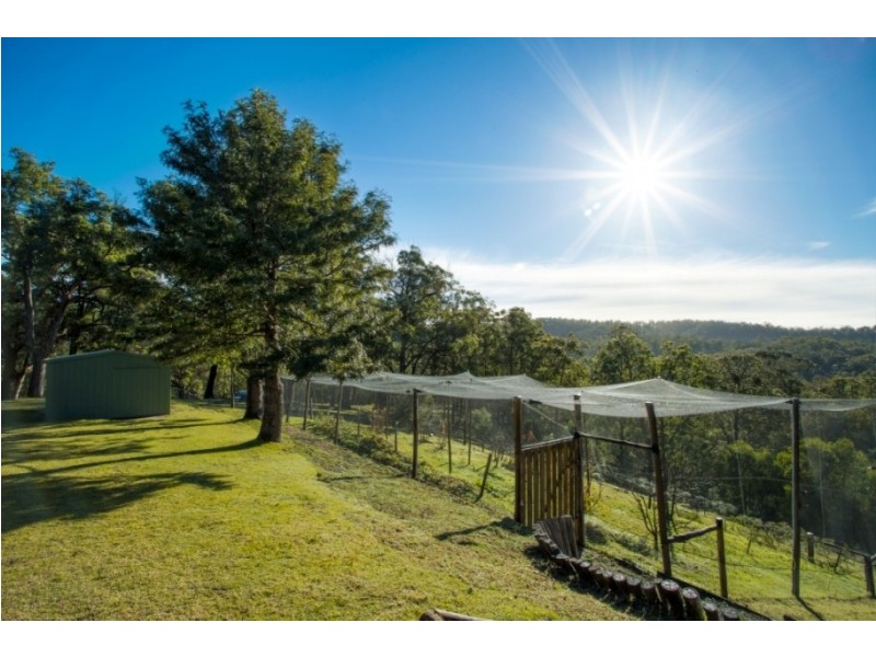 732 Hawks Head Rd, Brogo NSW 2550