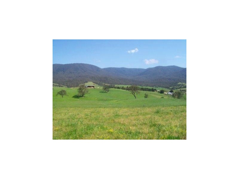 302 Nobby Park Rd, Bemboka NSW 2550