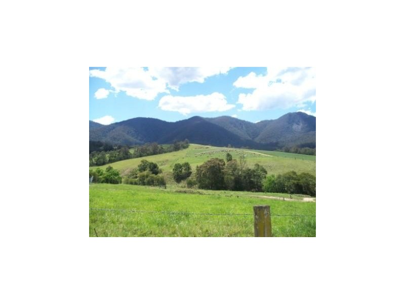 302 Nobby Park Rd, Bemboka NSW 2550