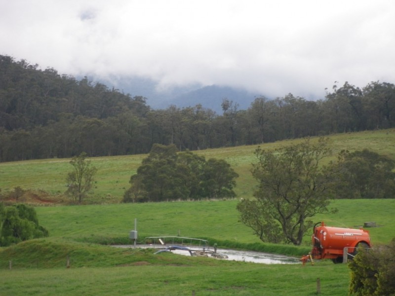 302 Nobby Park Rd, Bemboka NSW 2550