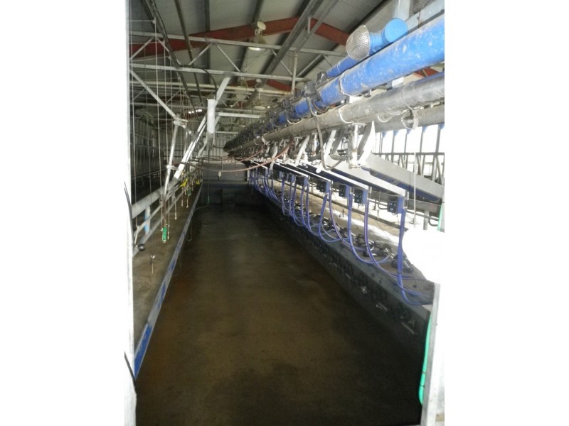 302 Nobby Park Rd, Bemboka NSW 2550