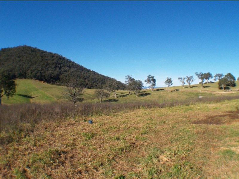 302 Nobby Park Rd, Bemboka NSW 2550