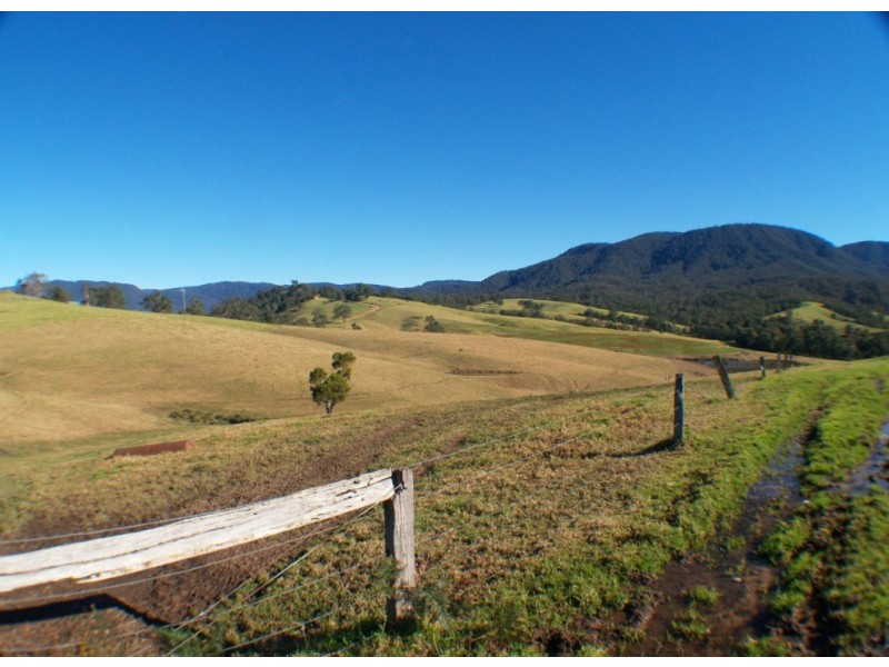 302 Nobby Park Rd, Bemboka NSW 2550