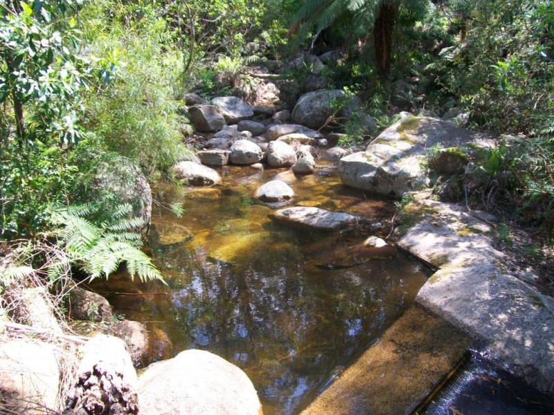 302 Nobby Park Rd, Bemboka NSW 2550