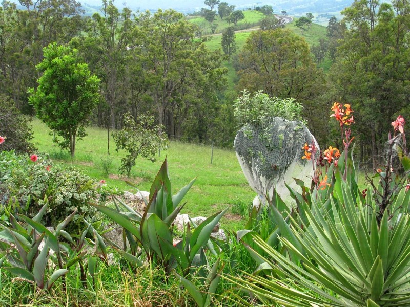 1179 Snowy Mtns Hwy, Bega NSW 2550