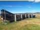 18 Glenall Lane, Candelo NSW 2550
