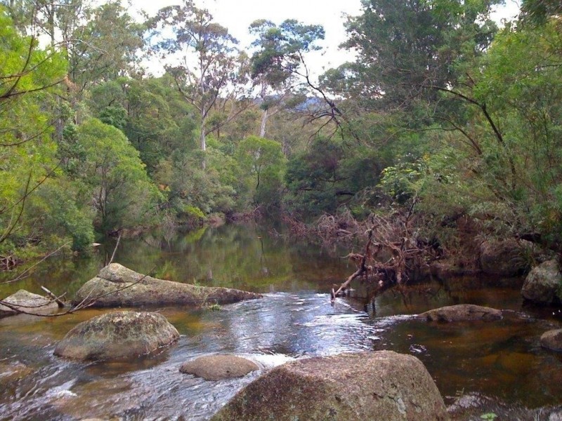 3712 Snowy Mtns Hwy, Bemboka NSW 2550