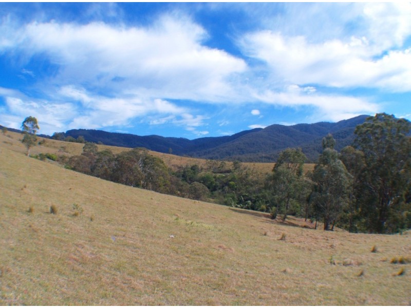 3712 Snowy Mtns Hwy, Bemboka NSW 2550