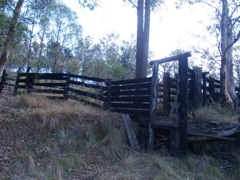 3712 Snowy Mtns Hwy, Bemboka NSW 2550