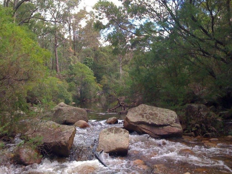 3712 Snowy Mtns Hwy, Bemboka NSW 2550
