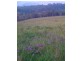 3712 Snowy Mtns Hwy, Bemboka NSW 2550