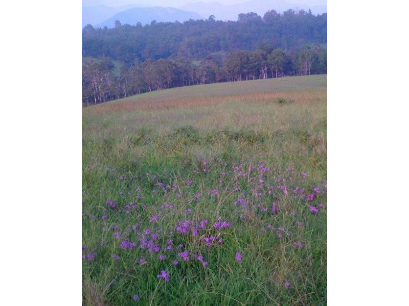 3712 Snowy Mtns Hwy, Bemboka NSW 2550