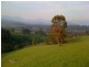 3712 Snowy Mtns Hwy, Bemboka NSW 2550