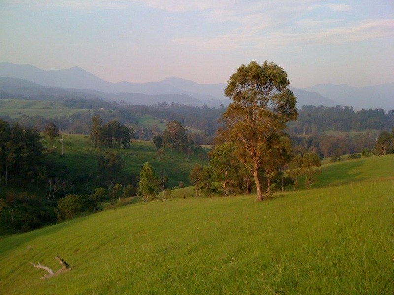 3712 Snowy Mtns Hwy, Bemboka NSW 2550