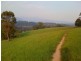 3712 Snowy Mtns Hwy, Bemboka NSW 2550