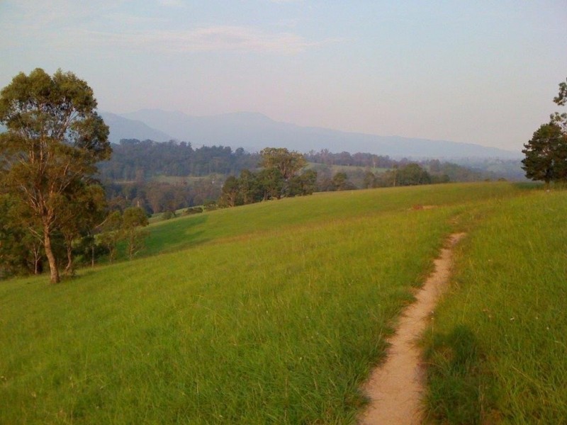3712 Snowy Mtns Hwy, Bemboka NSW 2550
