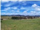 147 Towridgee Lane, Candelo NSW 2550