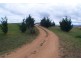 147 Towridgee Lane, Candelo NSW 2550