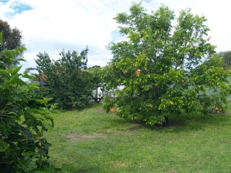 10 Wallace St, Bega NSW 2550