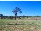Lot 29 Max Slater Drive, Bega NSW 2550
