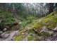 Lot 35 Myrtle Mtn Rd, Candelo NSW 2550