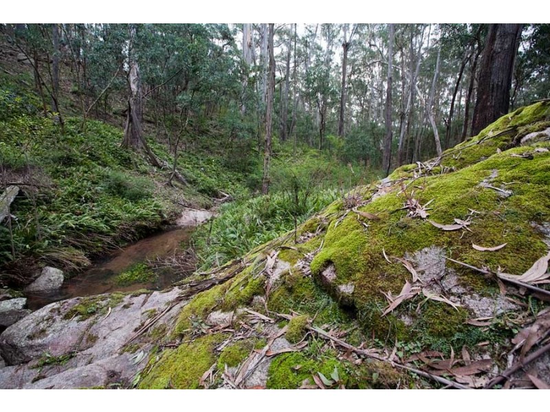 Lot 35 Myrtle Mtn Rd, Candelo NSW 2550