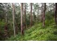 Lot 35 Myrtle Mtn Rd, Candelo NSW 2550