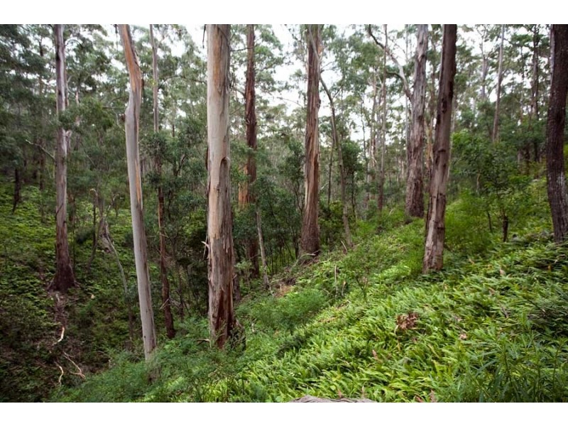 Lot 35 Myrtle Mtn Rd, Candelo NSW 2550
