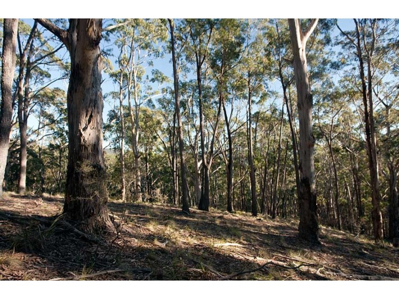 Lot 35 Myrtle Mtn Rd, Candelo NSW 2550